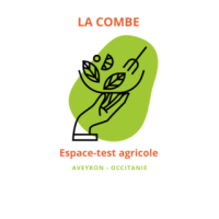 Image / illustration