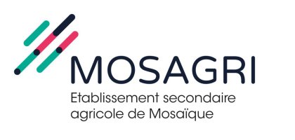 Image / illustration